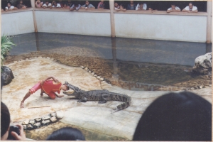 Crocodile Farm Show